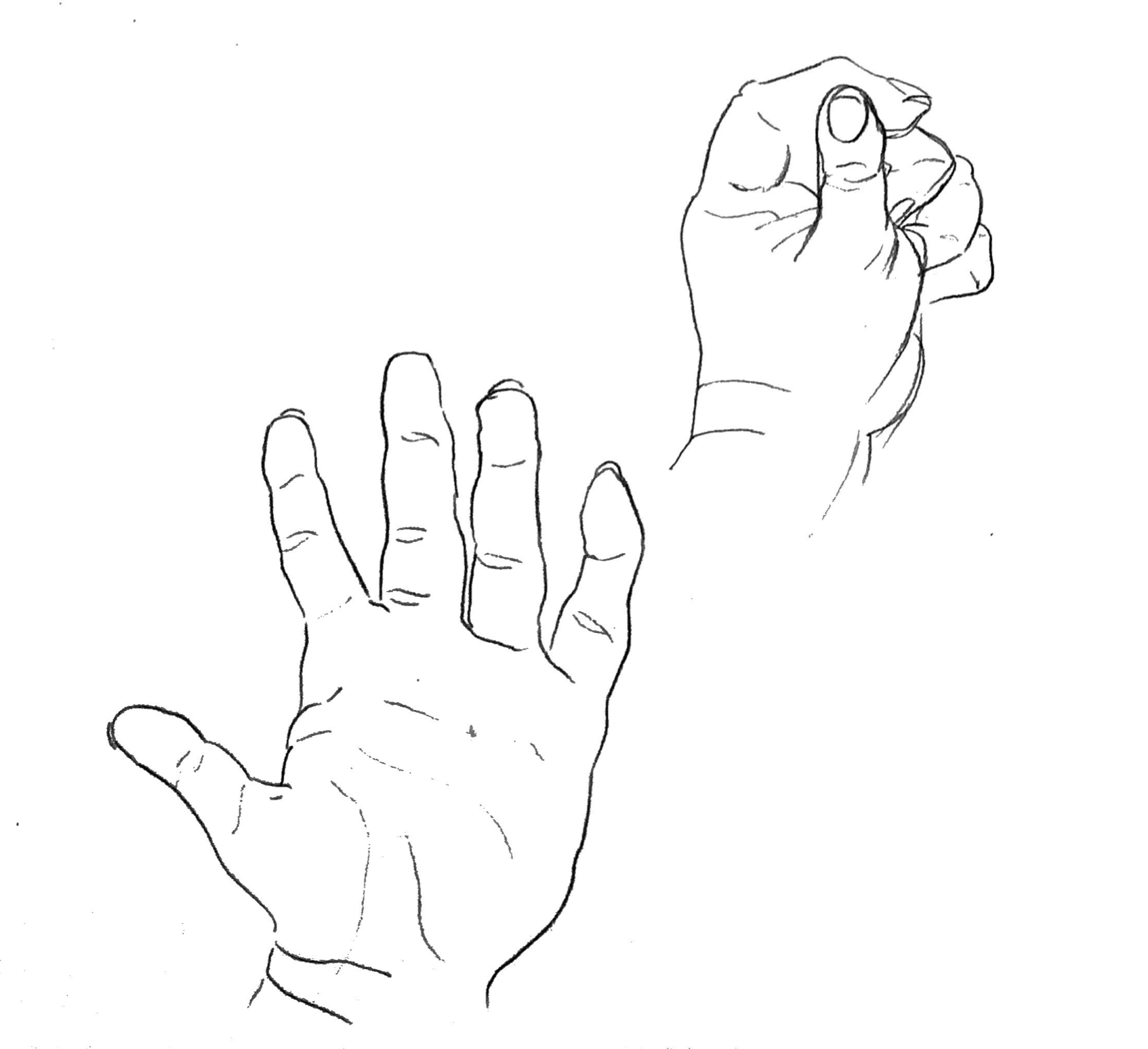 drawing of two hands