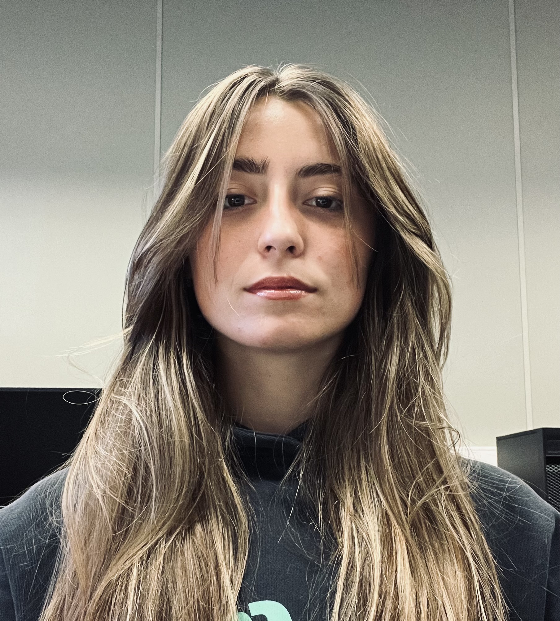 perfil