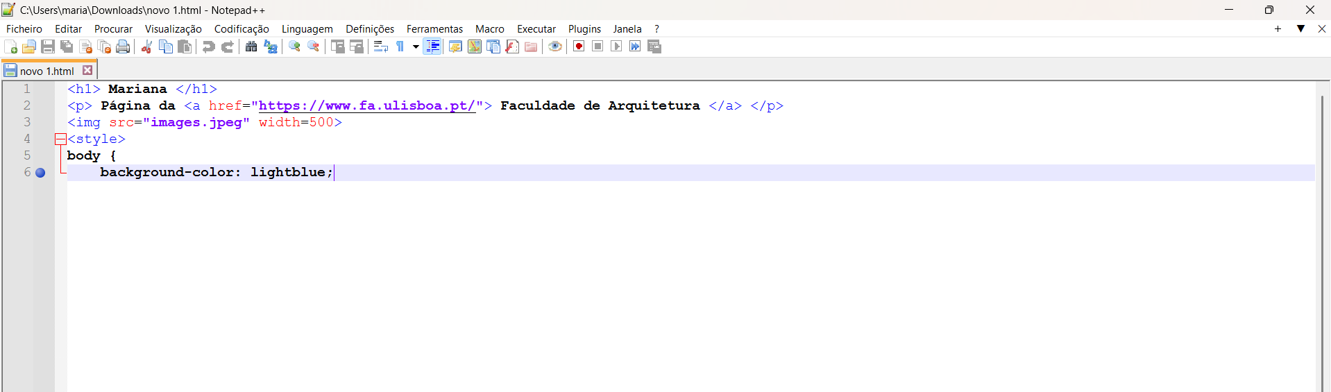 Testes na aplicação Notepad++