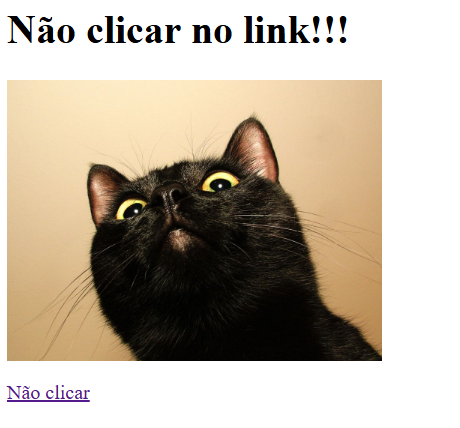 Screenshot da Semana 1