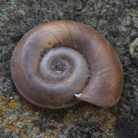 Stacks Image 36281