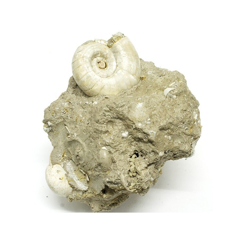 Stacks Image 625